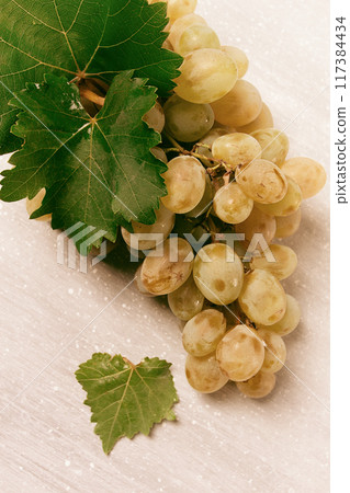 A branch of white grapes with leaves, on the table, top view, close-up, no people, 117384434