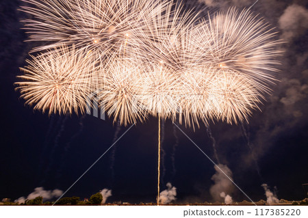Niigata Nagaoka Festival Fireworks Festival 117385220