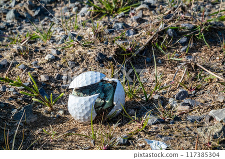 A broken golf ball is lying next to the golf site 117385304
