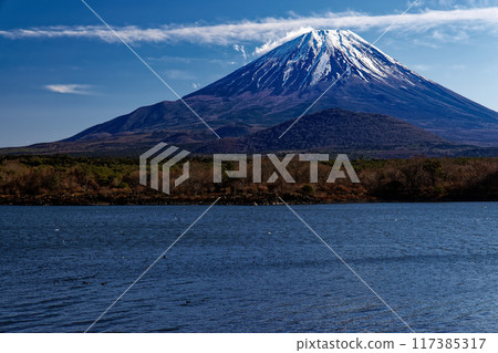 從精進湖畔看冬天的富士山 117385317