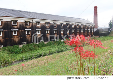 Matsumoto Sake Brewery and the Red Spider Lily Matsumoto Sake Brewery and the Red Spider Lily 117385340