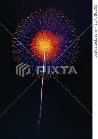 Summer image fireworks 117386203