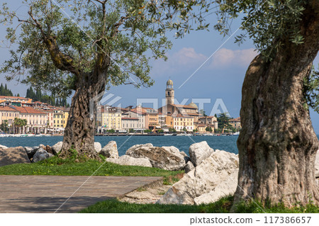 Olive trees and rugged boulders frame the scenic Salo waterfront on Lake Garda 117386657