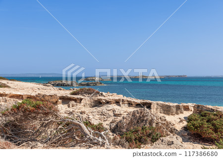 Rugged Ibiza shore with twisted, sun-bleached bushes, and Formentera lighthouses 117386680