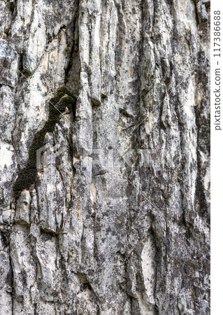 Vertical macro shot of stone's rough texture, showcasing intricate details in gray and white tones 117386688
