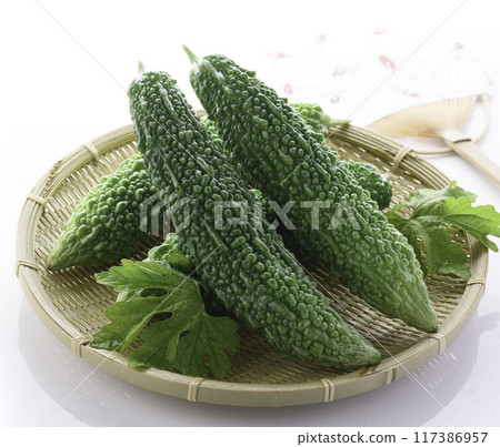 夏季蔬菜苦瓜(苦瓜)白色背景 夏季蔬菜苦瓜(苦瓜)白色背景 117386957