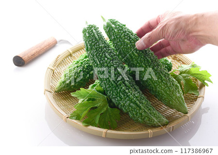 夏季蔬菜苦瓜（苦瓜）白色背景 117386967