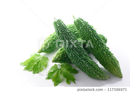 夏季蔬菜苦瓜（苦瓜）白色背景 117386971