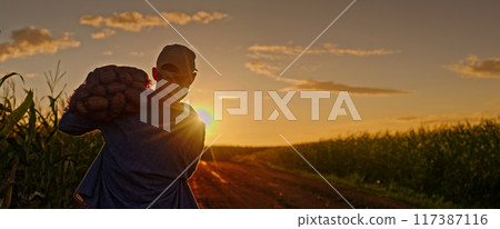 Farmer carrying a sack of potatoes on his shoulder walks down a dirt road at sunset, surrounded by cornfields. 117387116