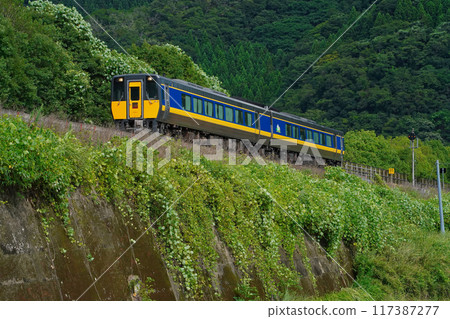 Chizu Express Super Inaba 117387277