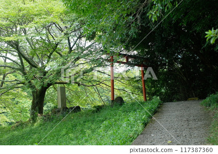 The approach to Okami Shrine, the shrine of Benzaiten, one of the Eight Great Dragon Kings, in Sakurai City, Nara 117387360