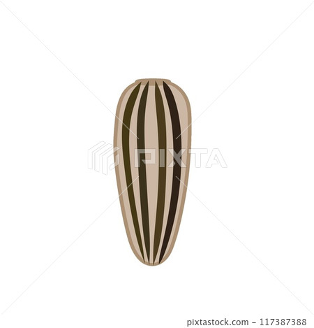 Sunflower seeds illustration 117387388