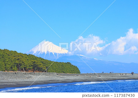 靜岡縣靜岡市三保松原和富士山的風景 117387430