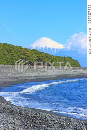 Scenery of Miho no Matsubara and Mt. Fuji, Shizuoka City, Shizuoka Prefecture Scenery of Miho no Matsubara and Mt. Fuji, Shizuoka City, Shizuoka Prefecture 117387431