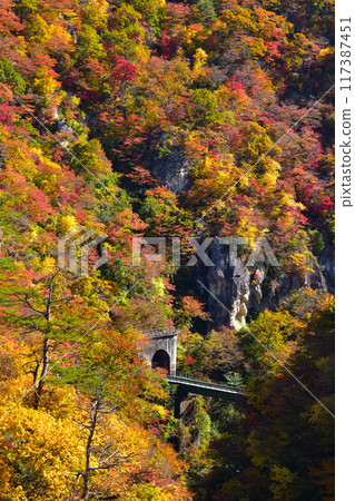 Autumn Naruko Gorge 117387451