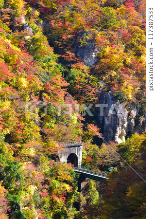 Autumn Naruko Gorge 117387533
