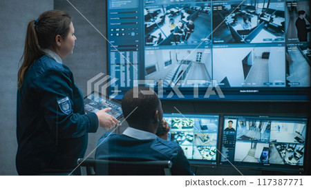 Multiethnic CCTV operators control security cameras on computer and tablet Multiethnic CCTV operators control security cameras on computer and tablet 117387771