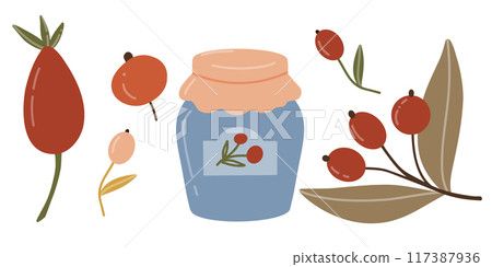 Berries of different shapes and colors with jar of jam. Vector illustration in flat style. Elements for autumn design for harvest festival, food. Fruits of berries of red and peach color. 117387936