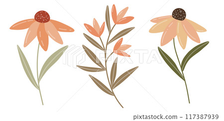 A simple autumn floral illustration featuring two stylized coneflowers and a branch with orange flowers, using muted tones of orange, brown, and green. Perfect for seasonal and botanical designs. 117387939