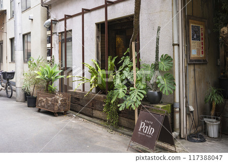 上野的路線疼痛 117388047