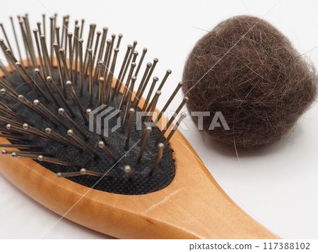 Photo 3 of cat hairballs and brush 117388102