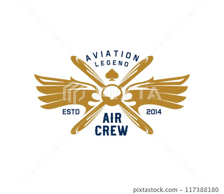 Airplane or aircraft icon for aviation academy or aviator school, vector emblem. Retro propeller airplane with eagle bird wings for avia show or aviation transport and air plane pilot crew badge 117388180