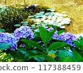 Hydrangea and water lilies 117388459
