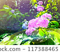Vibrant Hydrangeas in the Sun 117388465