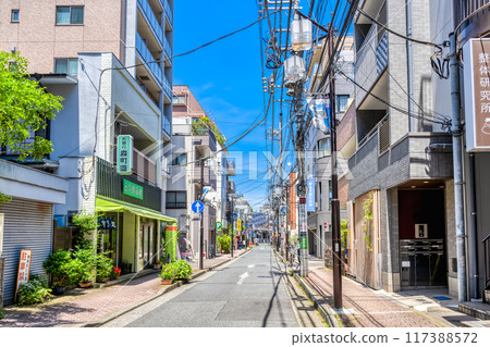Cityscape of Kawasaki City, Kanagawa Prefecture: Shin-Maruko Station 117388572
