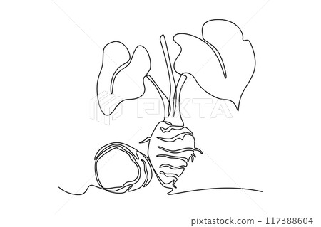 Single one line drawing of whole healthy organic taro for gardening logo identity. Fresh tropical plant edible corm concept root vegetable icon. Continuous line draw design graphic vector illustration 117388604