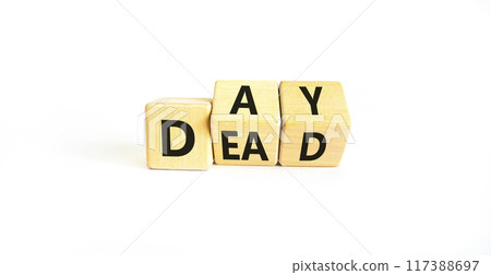 Day of the dead symbol. Concept words Day of the dead. Beautiful white table white background. Day of the dead concept. Copy space. 117388697