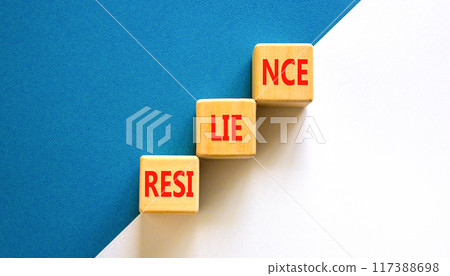 Resilience symbol. Concept word Resilience on beautiful wooden blocks. Beautiful white and blue background. Business resilience concept. Copy space. 117388698