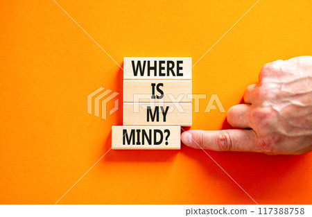 Where is my mind symbol. Concept words Where is my mind on wooden block. Beautiful orange table orange background. Businessman hand. Business, motivational and where is my mind concept. Copy space. 117388758
