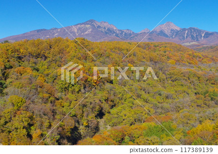 Autumn view of Yatsugatake from Yatsugatake Kogen Bridge Autumn view of Yatsugatake from Yatsugatake Kogen Bridge 117389139
