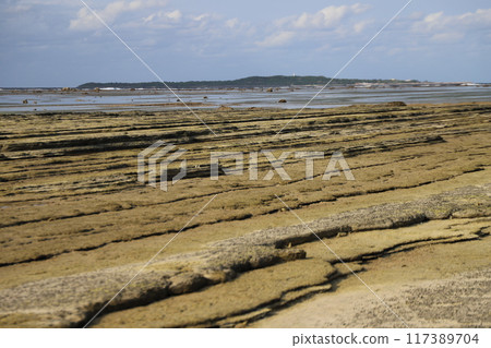 海灘沙灘 海灘沙灘 117389704