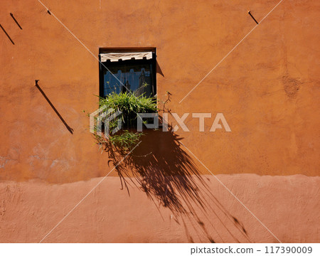 A window on the orange wall of an old house in Rome on a sunny day, shadow of plants on the wall 117390009