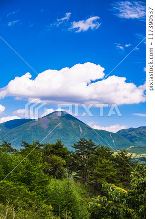 夏天的蓼科山 117390537