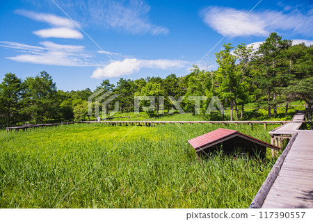 女神湖濕地長廊 117390557