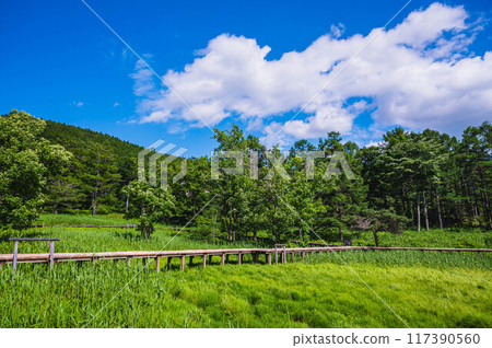 女神湖濕地長廊 117390560