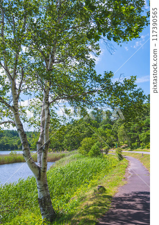 蓼科女神湖濱散步道 117390565