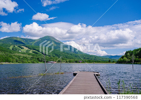 Pier at Lake Megami 117390568