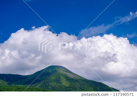 Mount Tateshina in summer 117390571