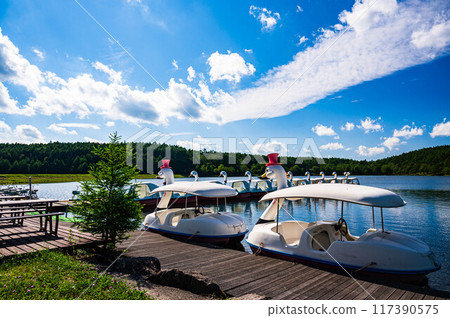 夏日女神湖天鵝船 117390575