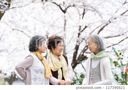 友善的高級女人微笑 117390821