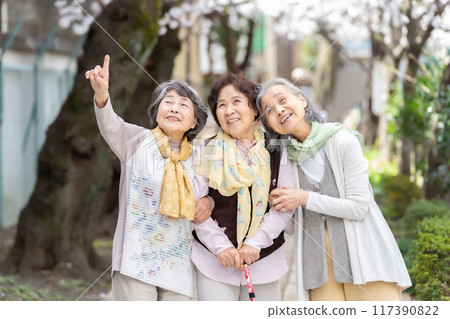 友善的高級女人微笑 117390822