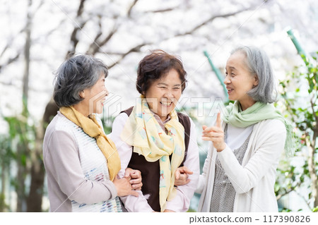 友善的高級女人微笑 117390826