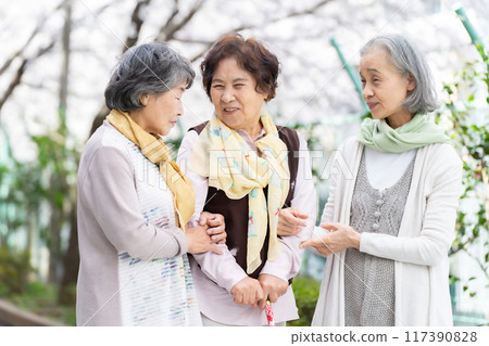 友善的高級女人微笑 117390828