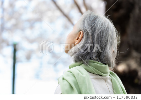 White hair, gray hair, senior woman White hair, gray hair, senior woman 117390832