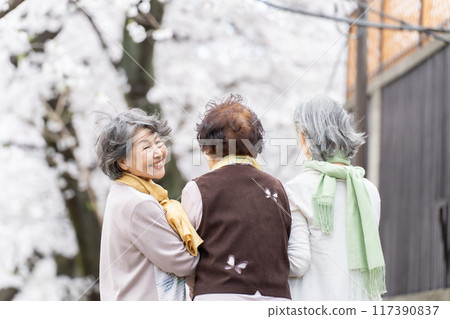 Senior woman back view 117390837