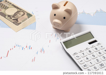 New banknotes, stock chart, piggy bank and calculator 117391011